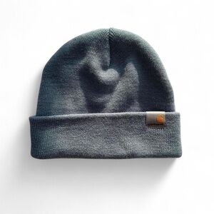 carhartt beanie light blue